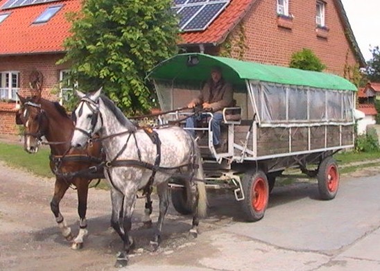 Kremser/Planwagen